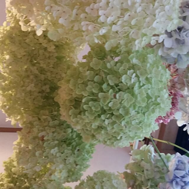 hitomiさんの実例写真