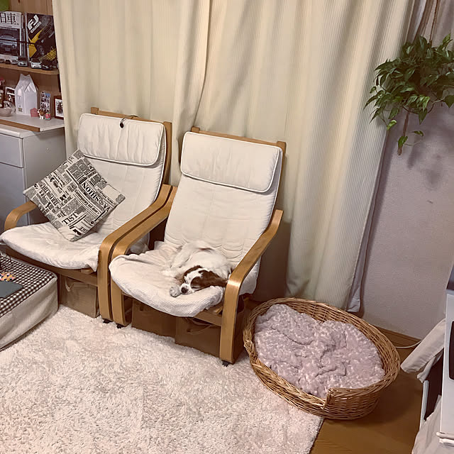 canmilmamaさんの実例写真