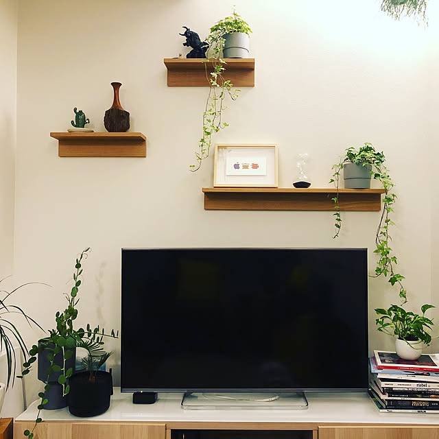 観葉植物/無印良品/ガーデニング/壁/天井のインテリア実例 - 2019-11-07 23:54:31