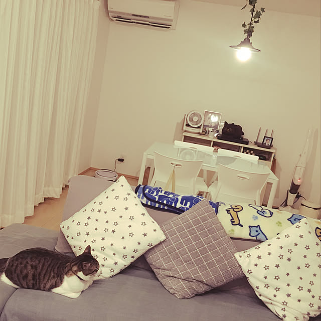 nomu2さんの実例写真