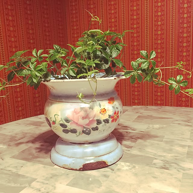 Yanagisawatomokoさんの実例写真