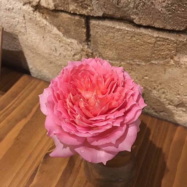 yuimokochanさんの実例写真