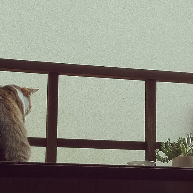 michiyoshikoさんの実例写真