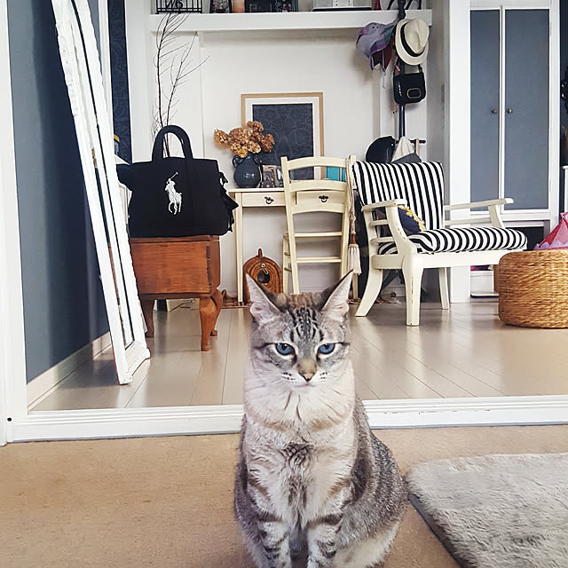 neoさんの実例写真