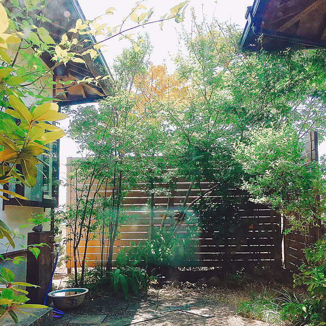 miyaken2019さんの実例写真