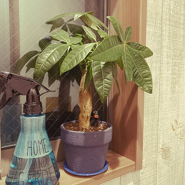 makinoさんの実例写真