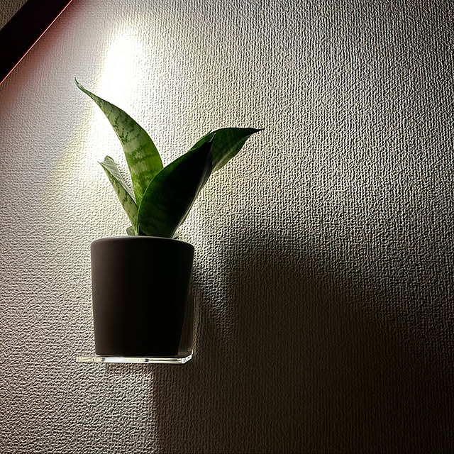 meさんの実例写真