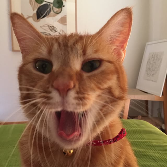 hanaさんの実例写真
