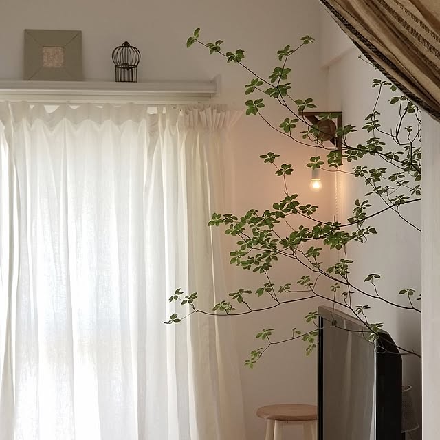 totonatuloveさんの部屋