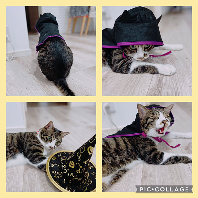 ippu0303Karinさんの実例写真