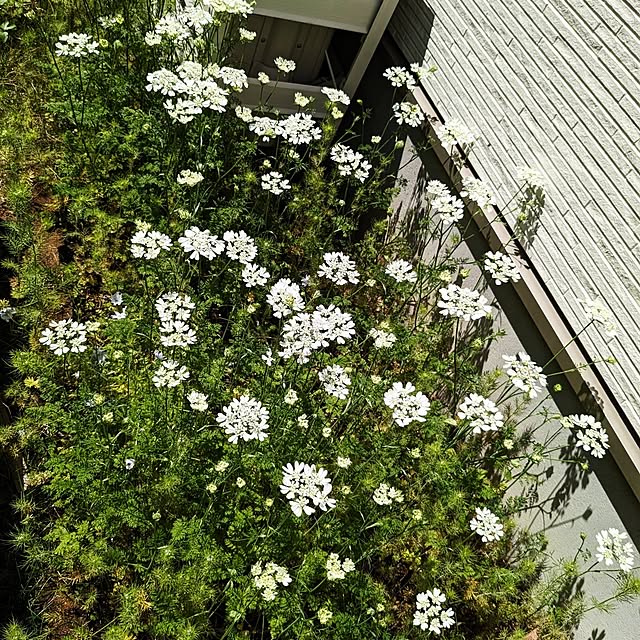 mofukoさんの部屋