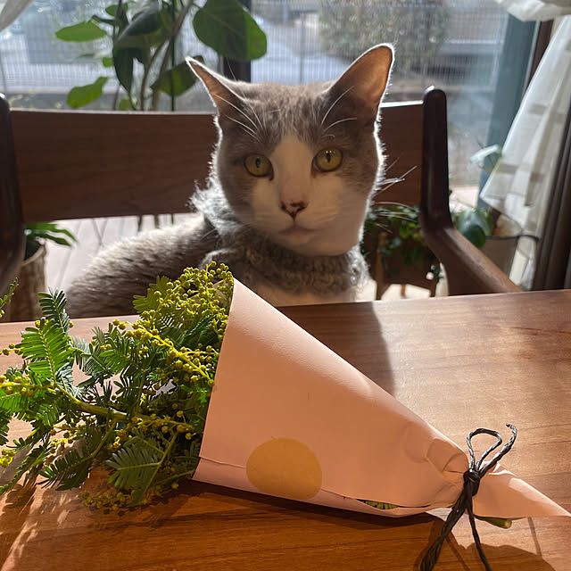 taakoさんの部屋