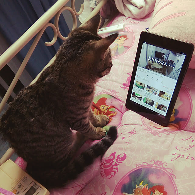 ariel630yyyさんの実例写真