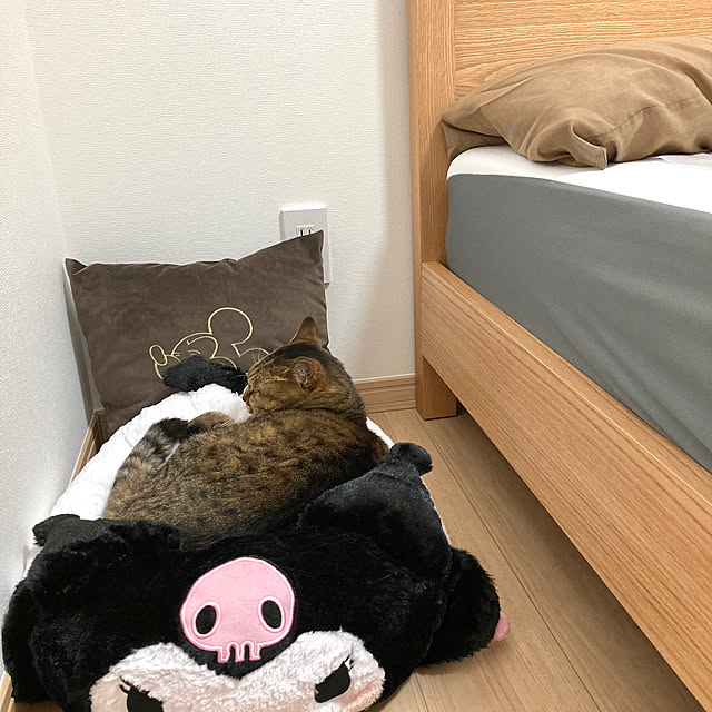 kirinsanさんの実例写真