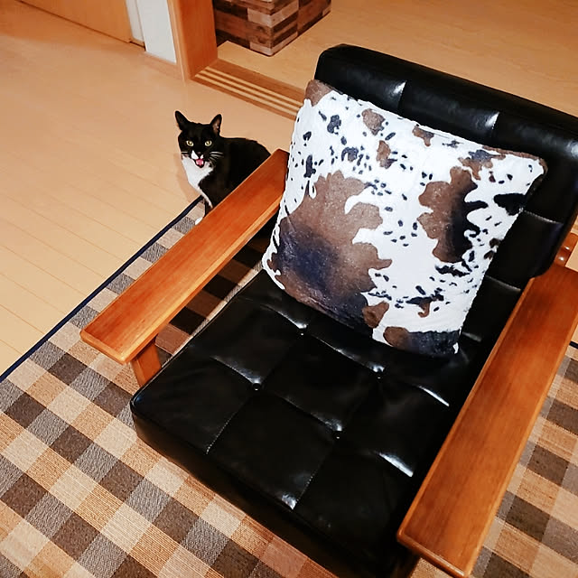 yuchitakuさんの実例写真