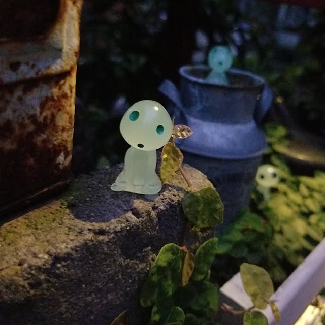 midoriさんの部屋