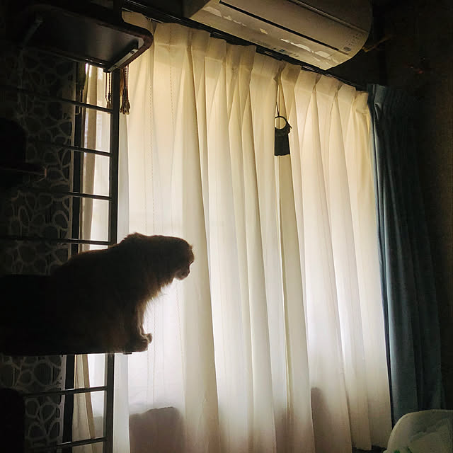 asamiiii1120さんの実例写真