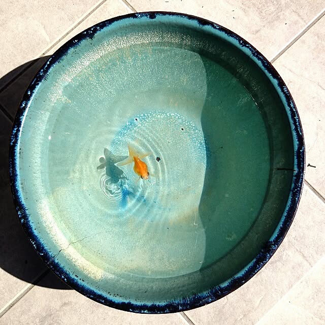 makotoさんの実例写真