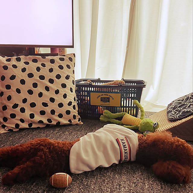 nanさんの実例写真