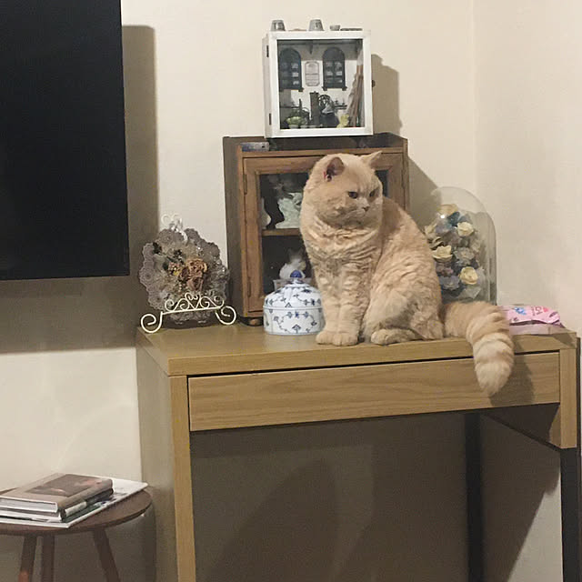 naokoさんの実例写真