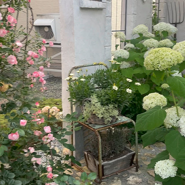 rinrinさんの部屋