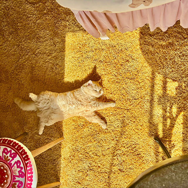 naokoさんの部屋