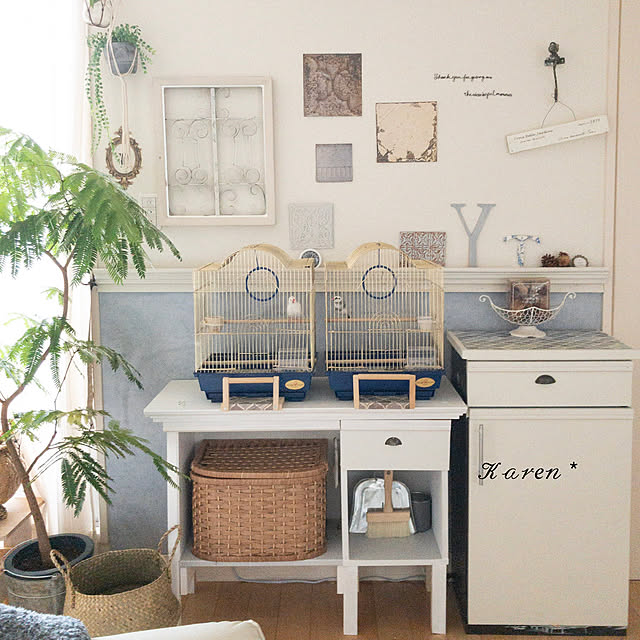 リビングインテリア/壁面ディスプレイ/文鳥のいる暮らし/観葉植物のある部屋/観葉植物のある暮らし...などのインテリア実例 - 2022-08-26 19:06:48