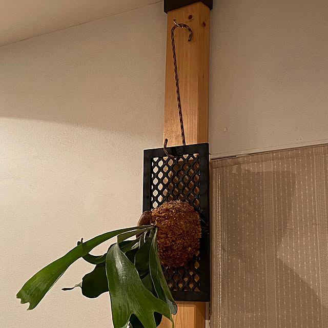 shokuchudokuさんの実例写真