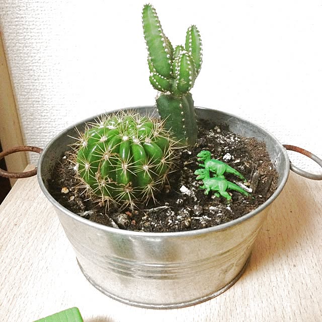 mihoさんの実例写真