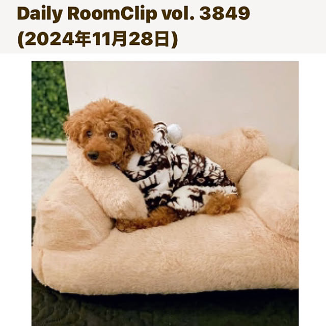 MOMOMAMAさんの実例写真
