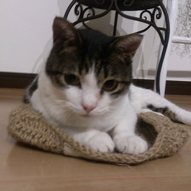 minkokoさんの実例写真