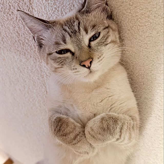 amさんの部屋