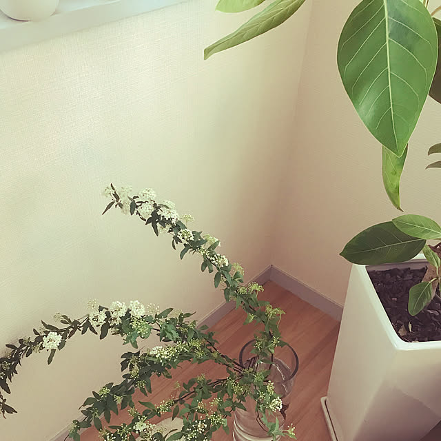 seikokawaさんの実例写真