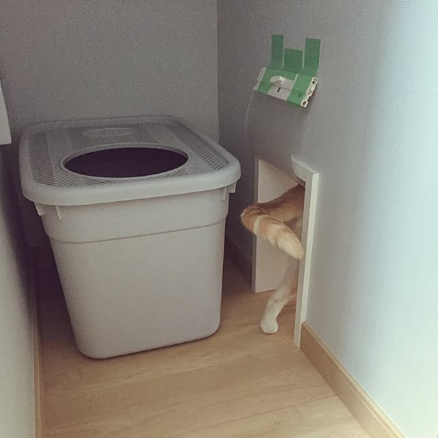 Minakoさんの実例写真