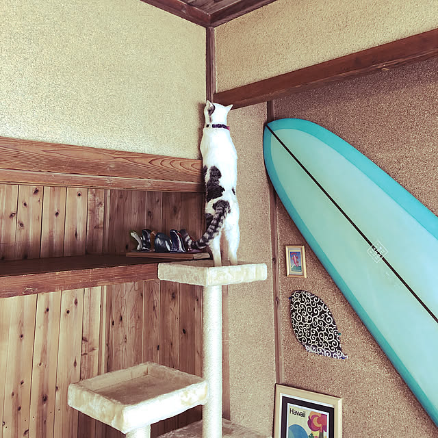 sunskysurfsandさんの実例写真