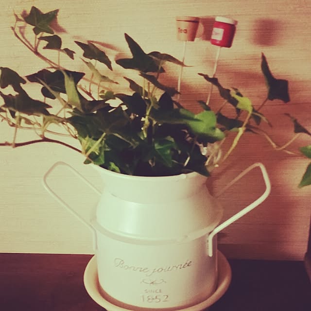 Sa-o-riさんの実例写真