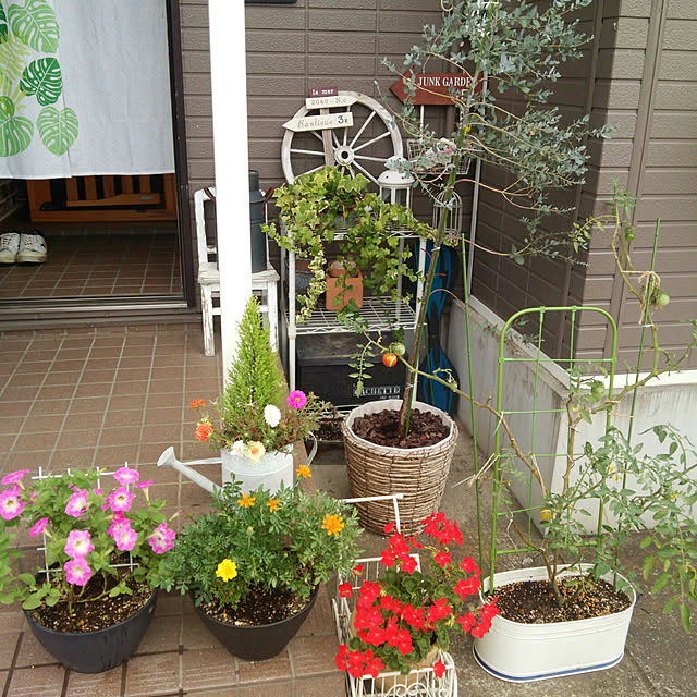 Rinnさんの実例写真