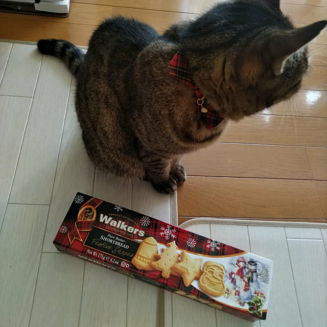lilyさんの実例写真