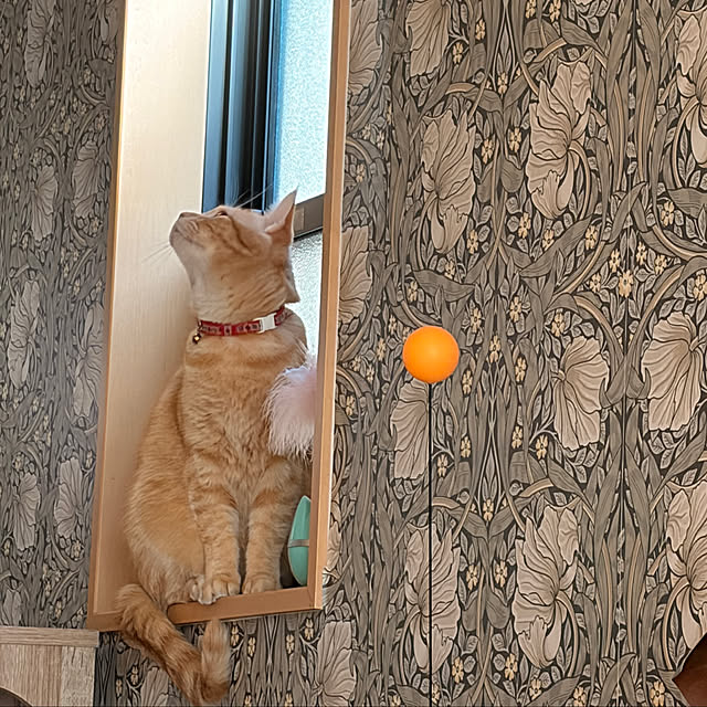 okogeさんの部屋