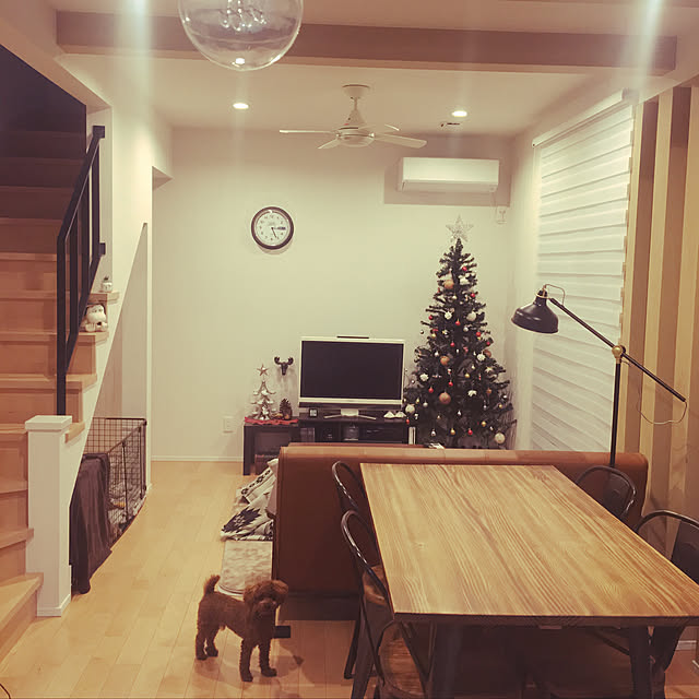 リビング/クリスマス/犬との暮らし/IKEAのインテリア実例 - 2018-12-20 17:24:15