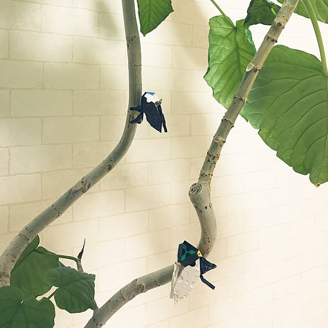 yuminさんの実例写真