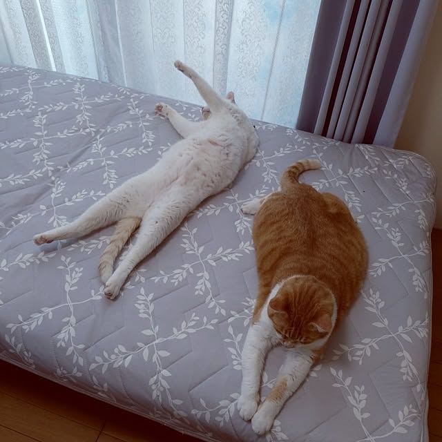 NOAHさんの部屋