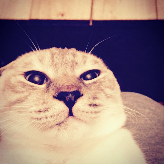 Naoki.さんの実例写真