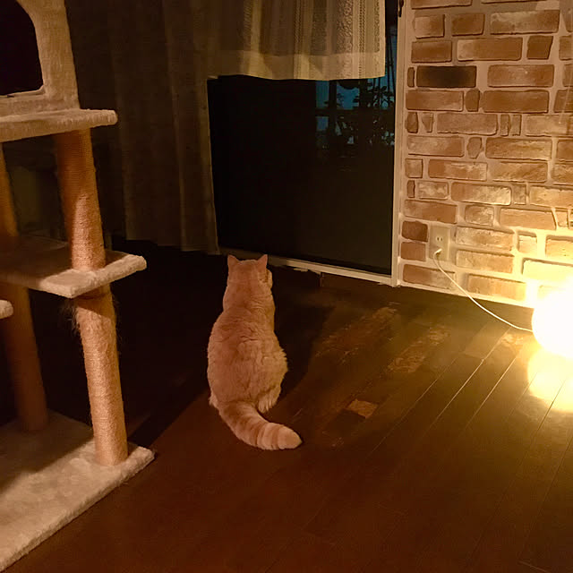naokoさんの部屋