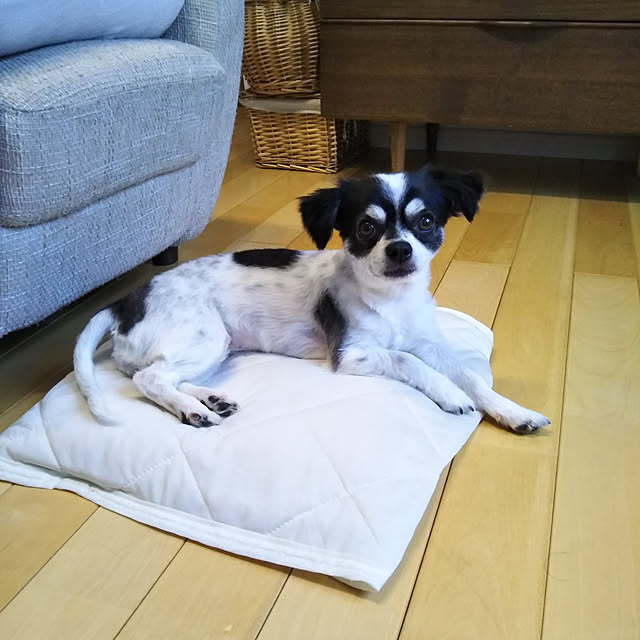 yukkoさんの実例写真