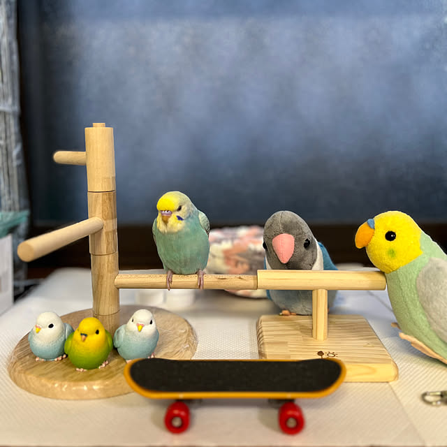 kurumeruさんの部屋