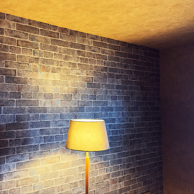 piroaiさんの実例写真