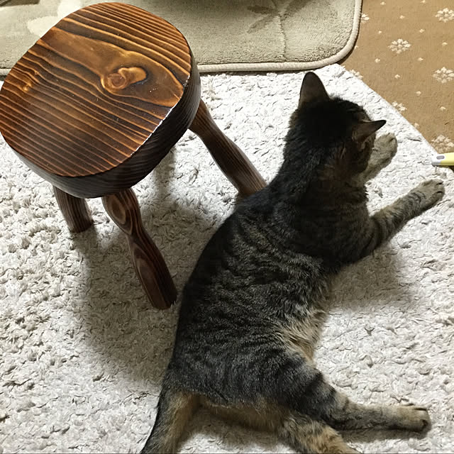 Miekoさんの部屋