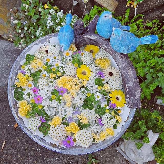 mocomocoさんの実例写真