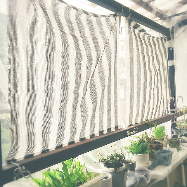 miho.okuさんの実例写真